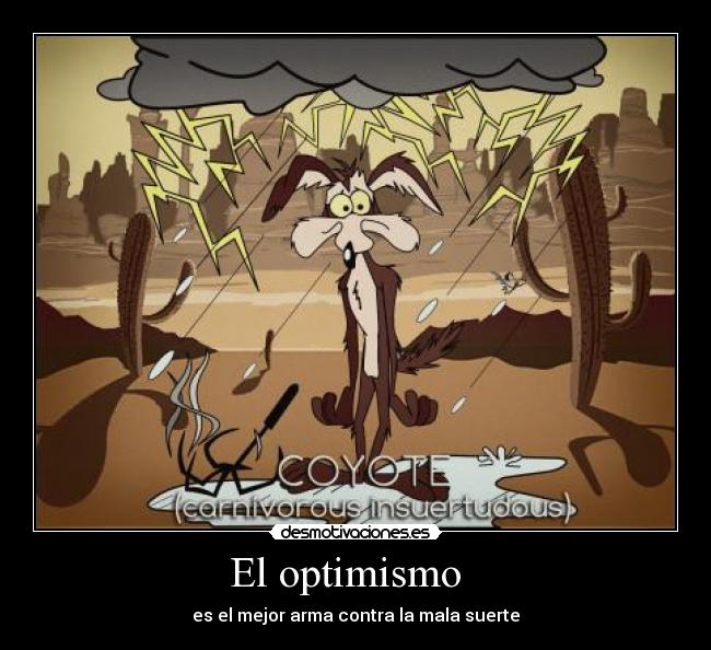 carteles coyote mala suerte desmotivaciones