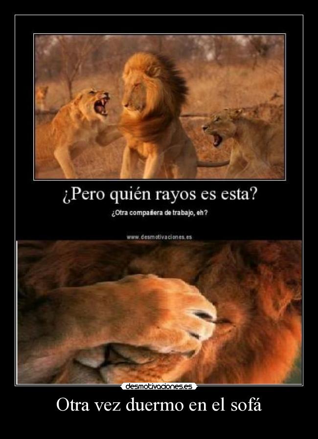 Otra vez duermo en el sofá -