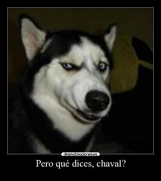 Pero qué dices, chaval? -