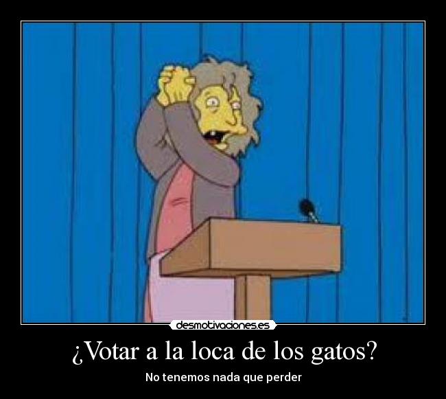 ¿Votar a la loca de los gatos? -