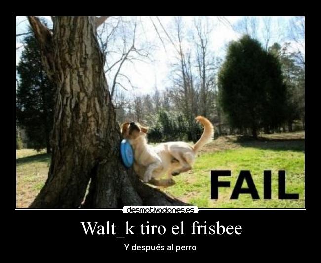 Walt_k tiro el frisbee - Y después al perro