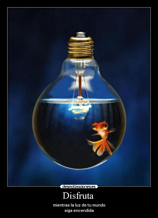 Disfruta - mientras la luz de tu mundo
siga encendida