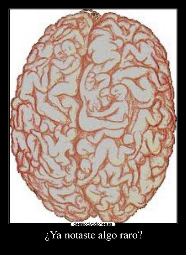 ¿Ya notaste algo raro? -