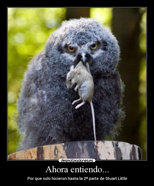 Ahora entiendo... - Por que solo hicieron hasta la 2ª parte de Stuart Little