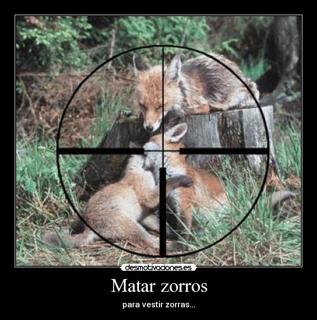 Matar zorros - 