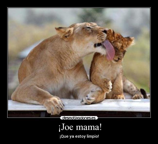 ¡Joe mama! -
