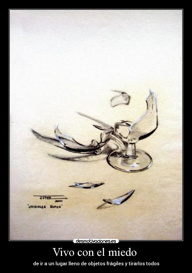 Vivo con el miedo - de ir a un lugar lleno de objetos frágiles y tirarlos todos