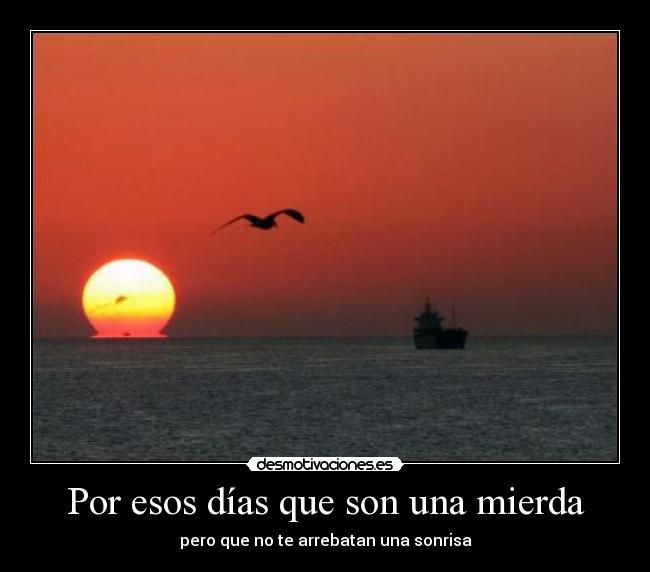 Por esos días que son una mierda - pero que no te arrebatan una sonrisa