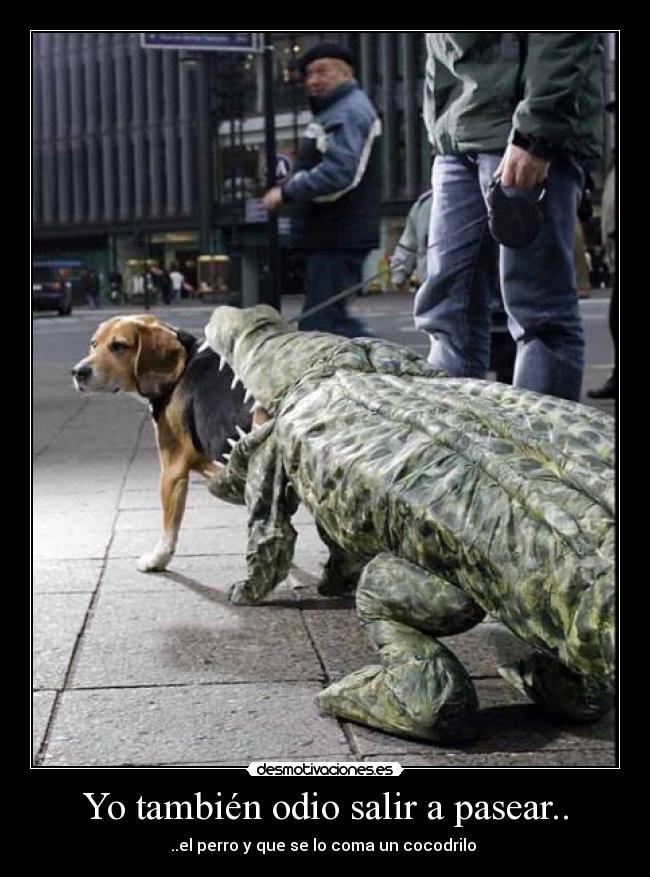 Yo también odio salir a pasear.. - 