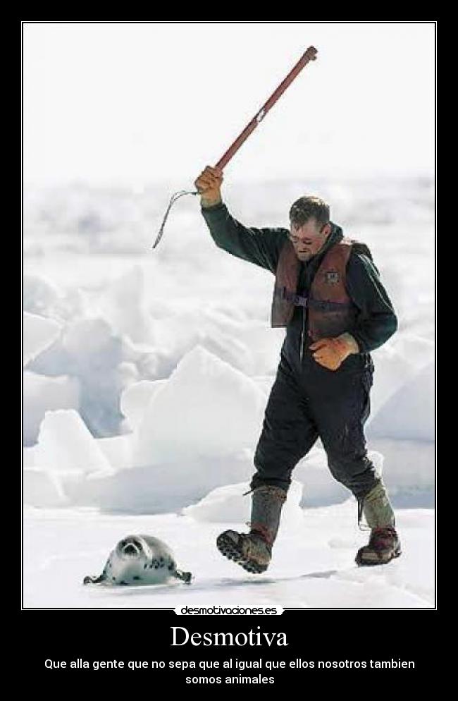Desmotiva - Que alla gente que no sepa que al igual que ellos nosotros tambien somos animales