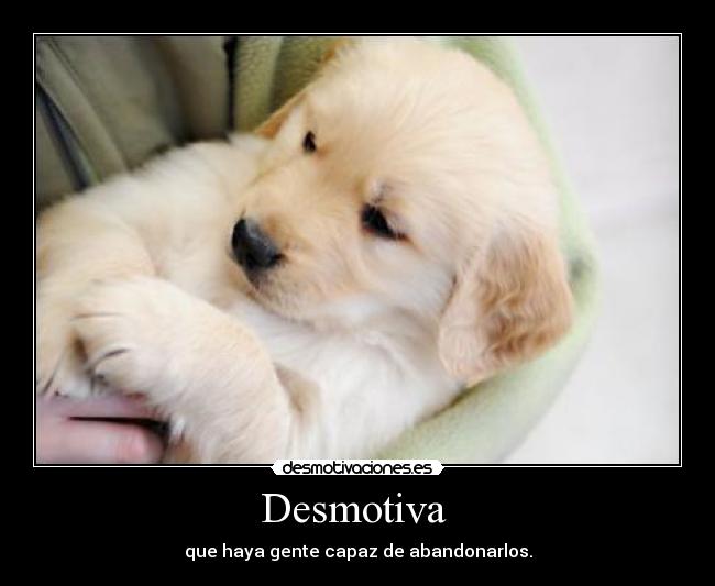 Desmotiva  - que haya gente capaz de abandonarlos.