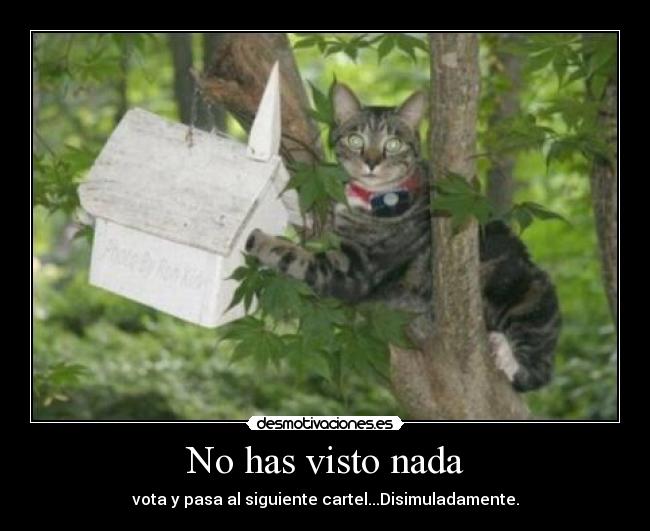 carteles gatosdisimuladamente desmotivaciones