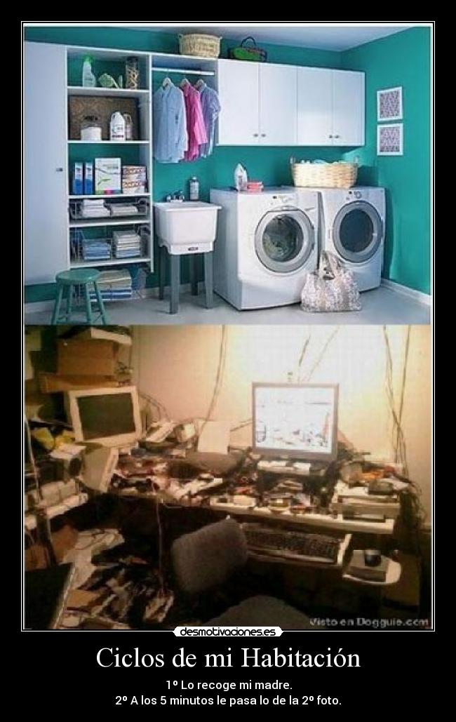 Ciclos de mi Habitación - 1º Lo recoge mi madre.
2º A los 5 minutos le pasa lo de la 2º foto.