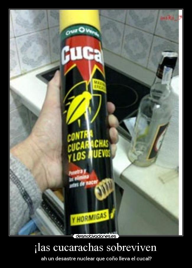 carteles cucharachascucal desmotivaciones