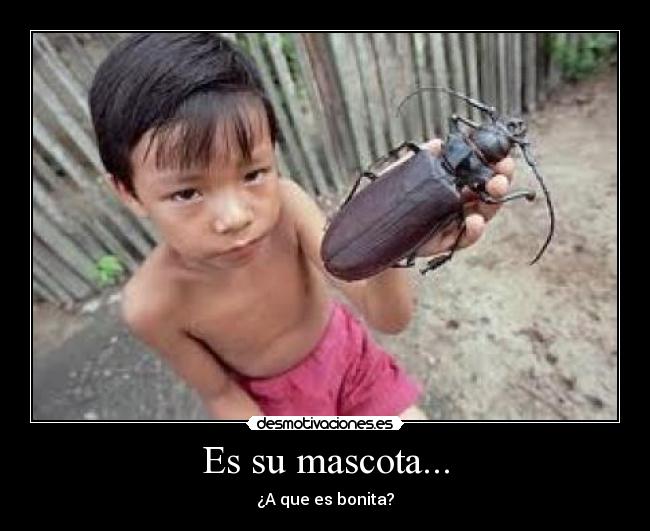 Es su mascota... - 