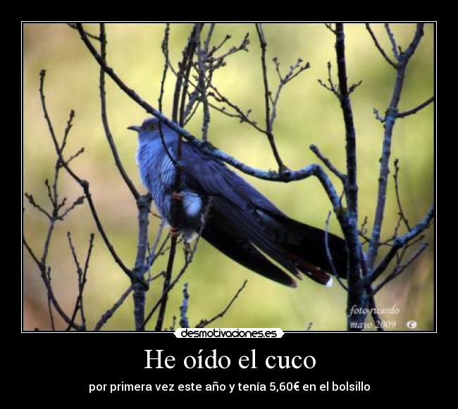 carteles asteriscoalmohadilla54 desmotivaciones