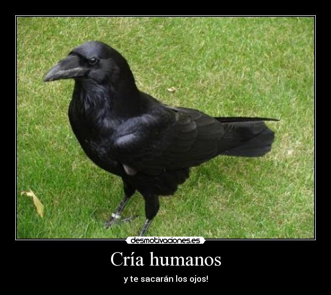 Cría humanos - 