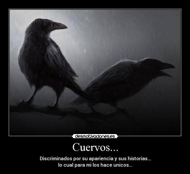 Cuervos... - 