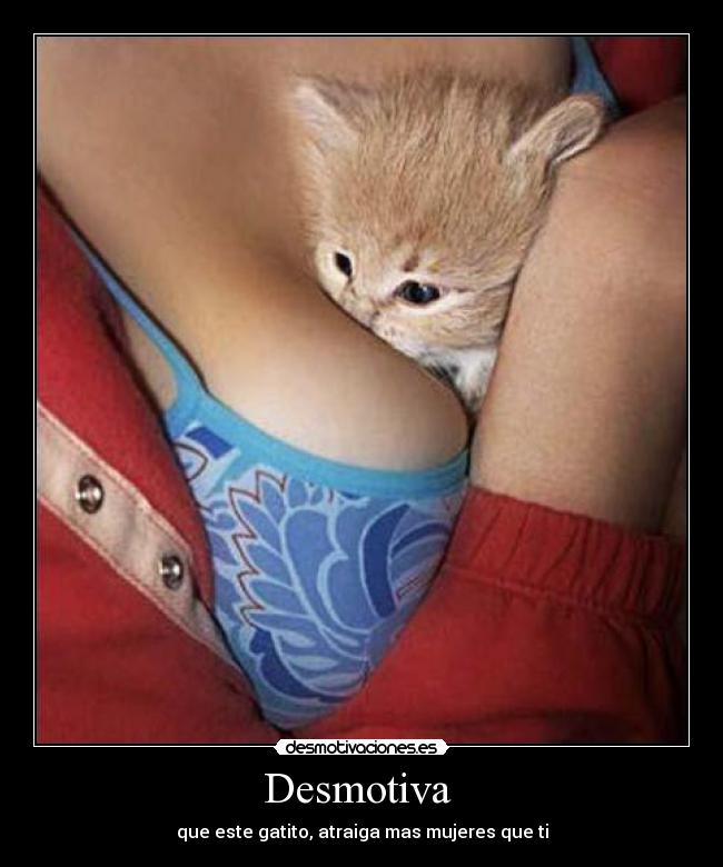 Desmotiva -