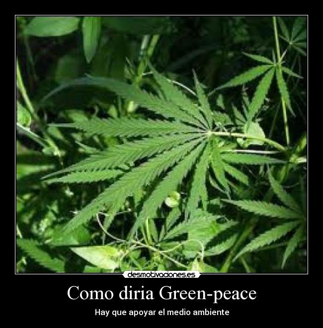 carteles hy2e desmotivaciones