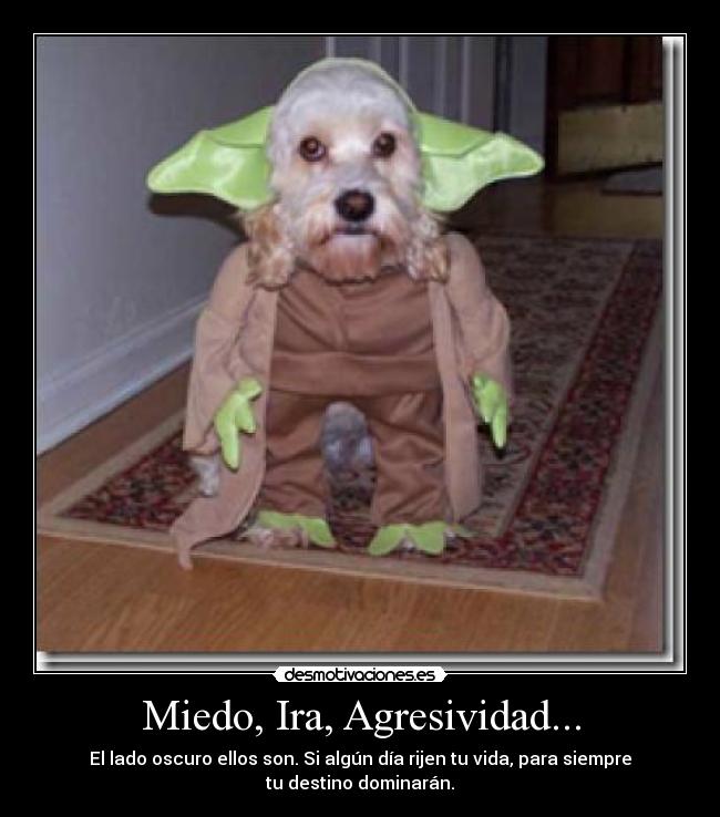 Miedo, Ira, Agresividad... - El lado oscuro ellos son. Si algún día rijen tu vida, para siempre
tu destino dominarán.