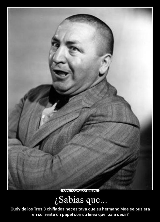 ¿Sabias que... - Curly de los Tres 3 chiflados necesitava que su hermano Moe se pusiera
en su frente un papel con su linea que iba a decir?
