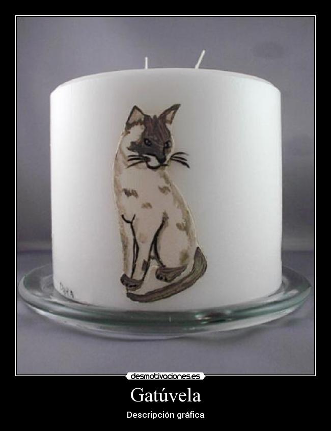 Gatúvela - Descripción gráfica