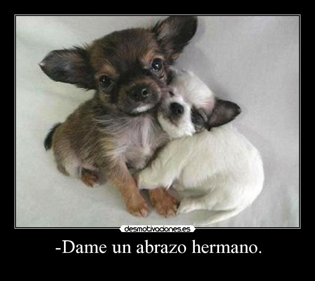 -Dame un abrazo hermano. - 
