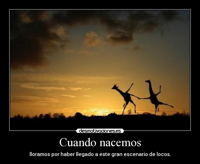 Cuando nacemos -