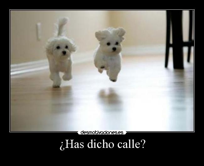 ¿Has dicho calle? - 