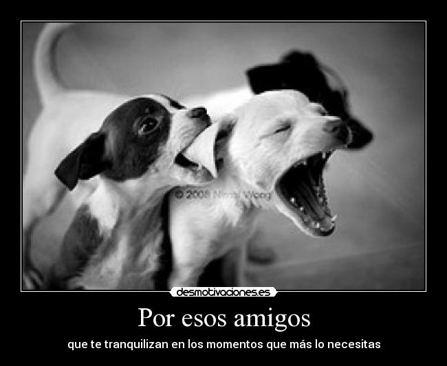Por esos amigos - que te tranquilizan en los momentos que más lo necesitas