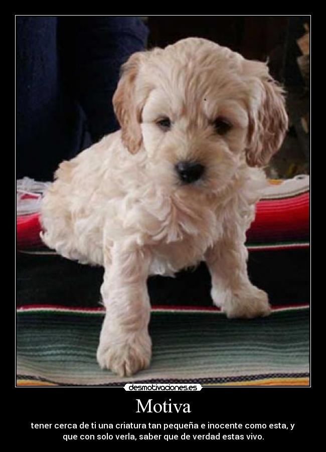 carteles motiva desmotivaciones