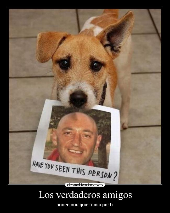 carteles amigos verdaderos amigos desmotivaciones