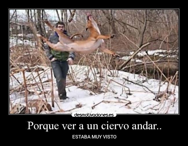 Porque ver a un ciervo andar.. -