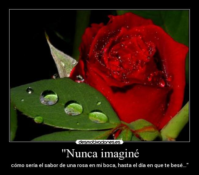 Nunca imaginé - cómo sería el sabor de una rosa en mi boca, hasta el día en que te besé...