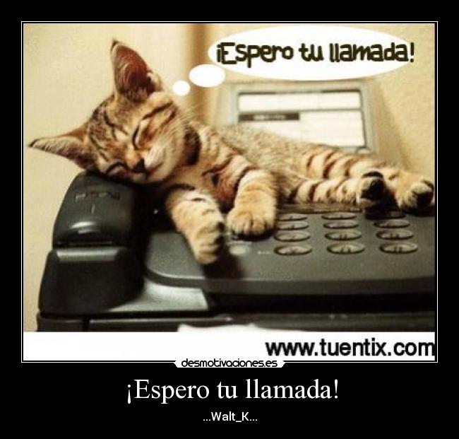 ¡Espero tu llamada! -