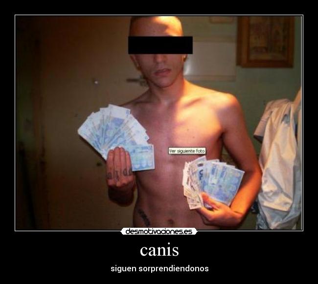 canis - 