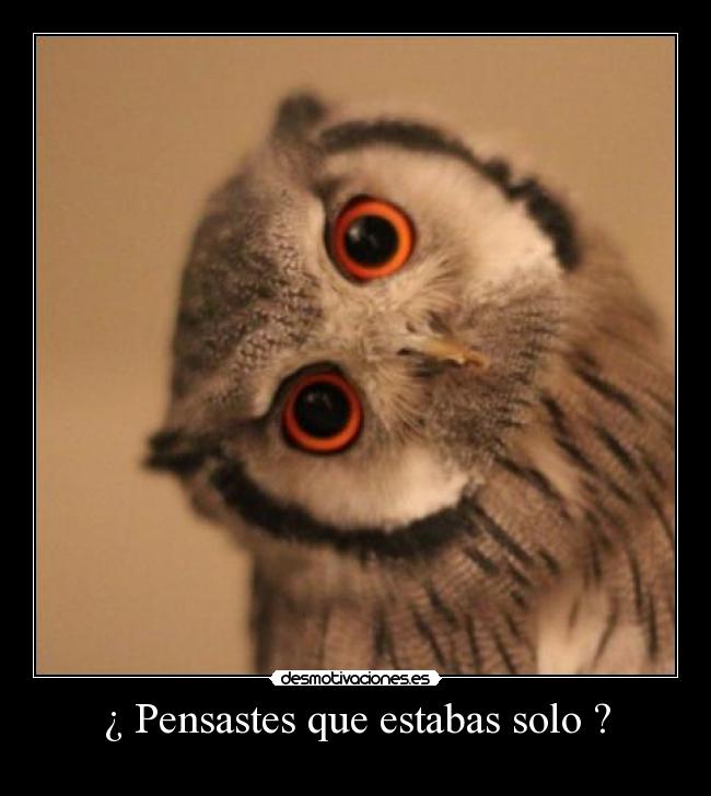 ¿ Pensastes que estabas solo ? - 