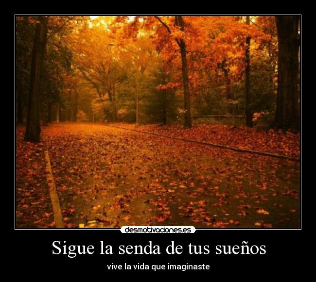 Sigue la senda de tus sueños - vive la vida que imaginaste