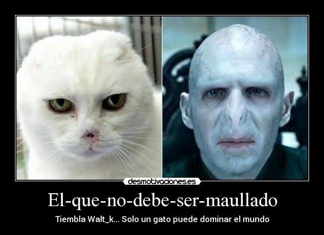 carteles walt_k potter desmotivaciones
