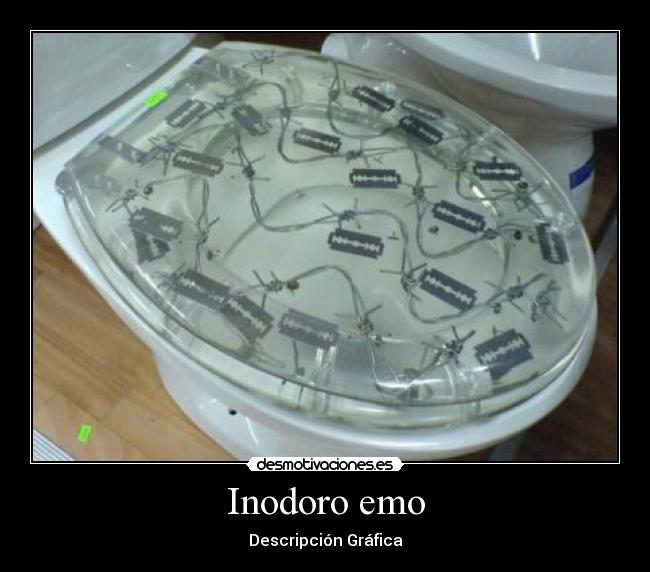 Inodoro emo - Descripción Gráfica