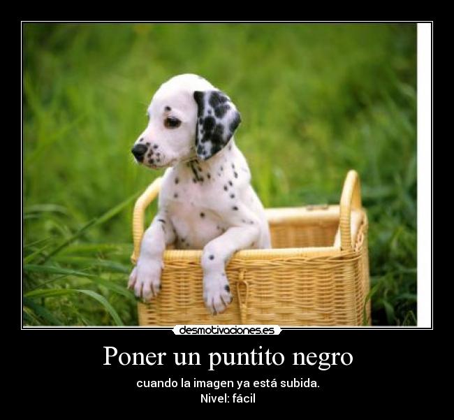 Poner un puntito negro - cuando la imagen ya está subida.
Nivel: fácil