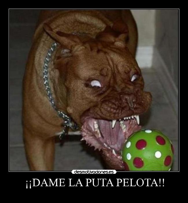 ¡¡DAME LA PUTA PELOTA!! -