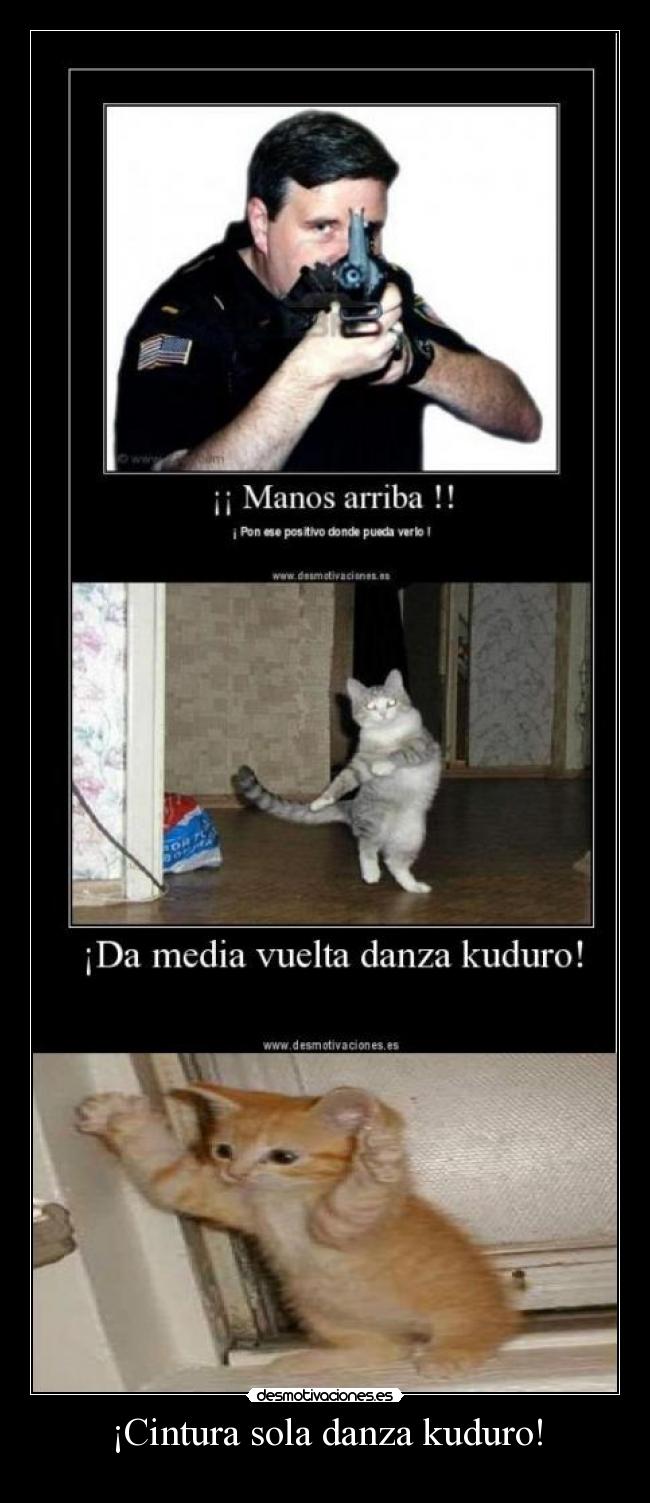 ¡Cintura sola danza kuduro! -