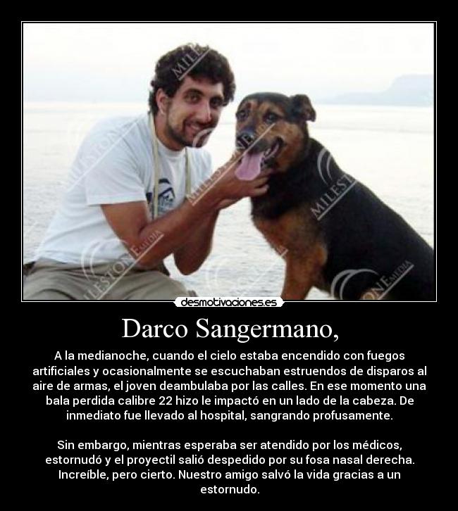 Darco Sangermano, - A la medianoche, cuando el cielo estaba encendido con fuegos
artificiales y ocasionalmente se escuchaban estruendos de disparos al
aire de armas, el joven deambulaba por las calles. En ese momento una
bala perdida calibre 22 hizo le impactó en un lado de la cabeza. De
inmediato fue llevado al hospital, sangrando profusamente.
Sin embargo, mientras esperaba ser atendido por los médicos,
estornudó y el proyectil salió despedido por su fosa nasal derecha.
Increíble, pero cierto. Nuestro amigo salvó la vida gracias a un
estornudo.