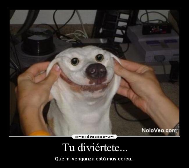 Tu diviértete... -