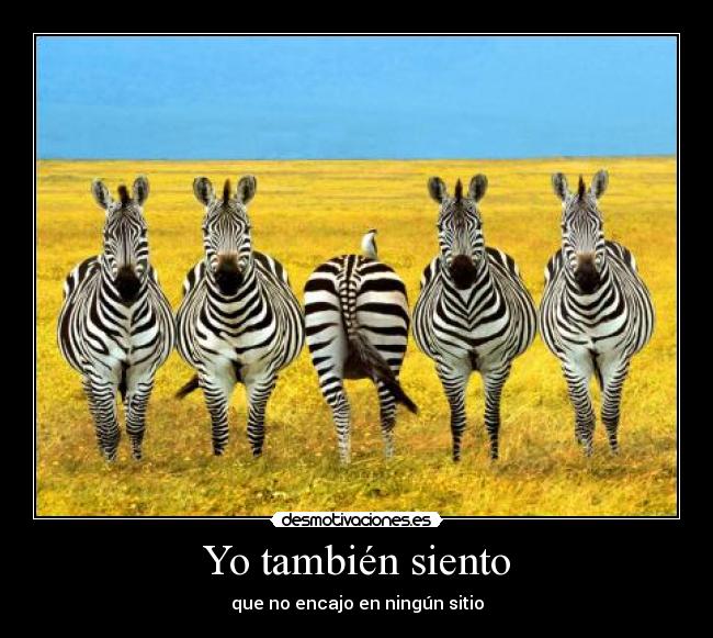 Yo también siento - 