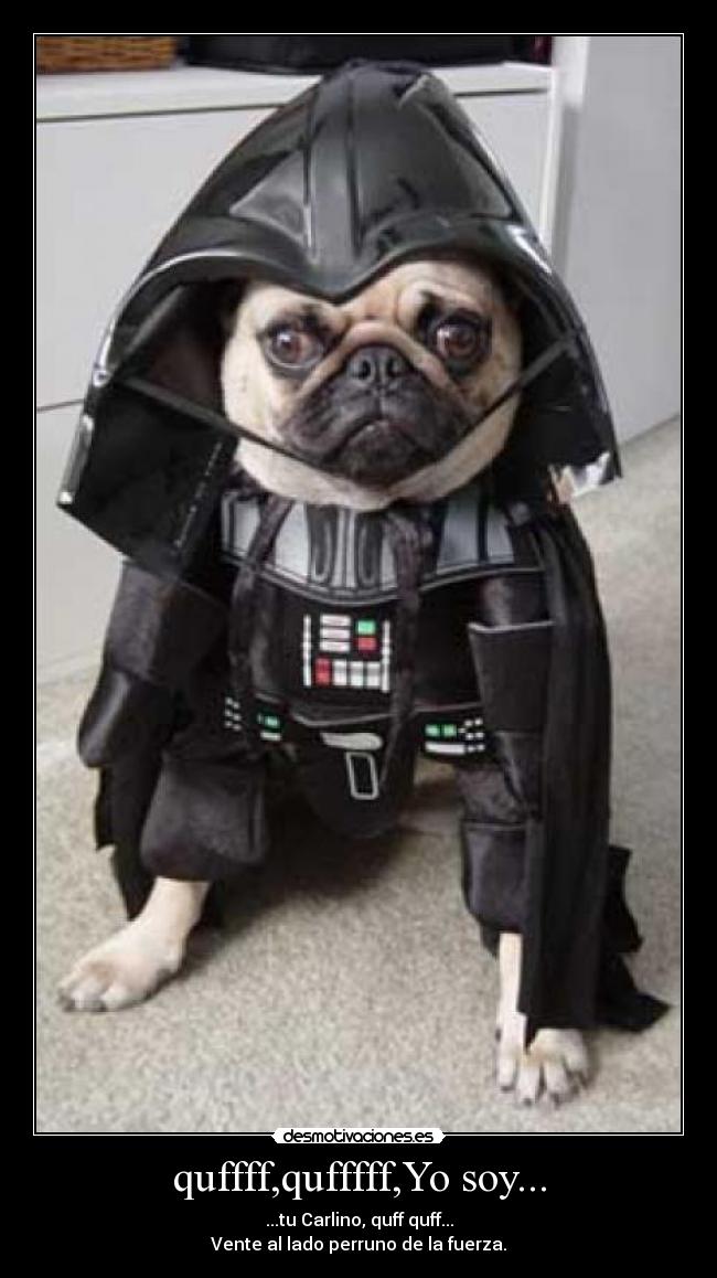 quffff,qufffff,Yo soy... - ...tu Carlino, quff quff...
Vente al lado perruno de la fuerza.
