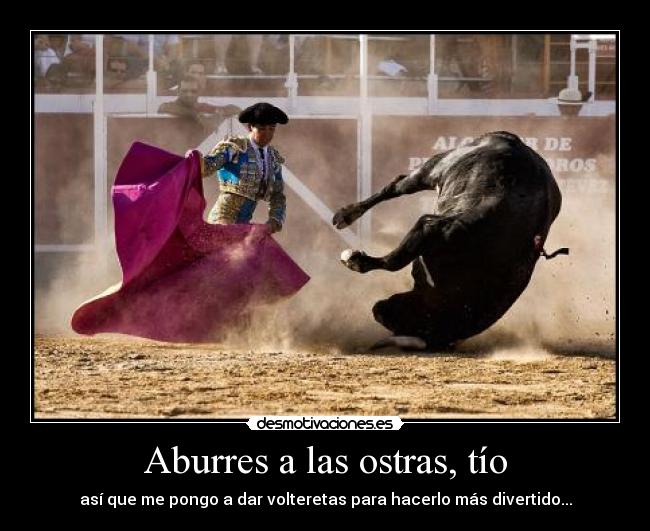 carteles toros desmotivaciones