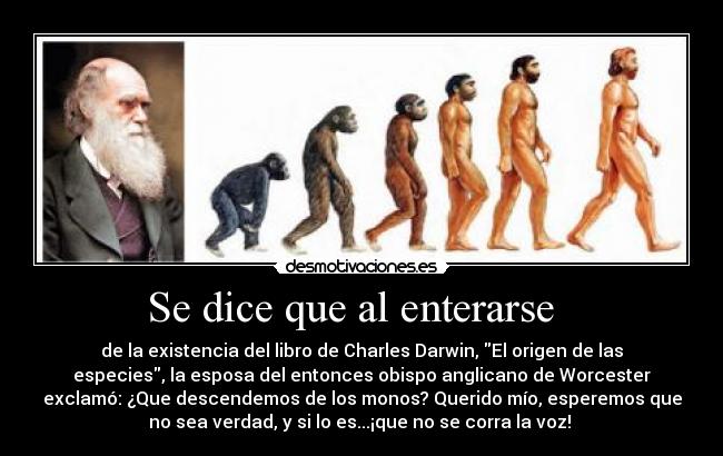 carteles darwin desmotivaciones